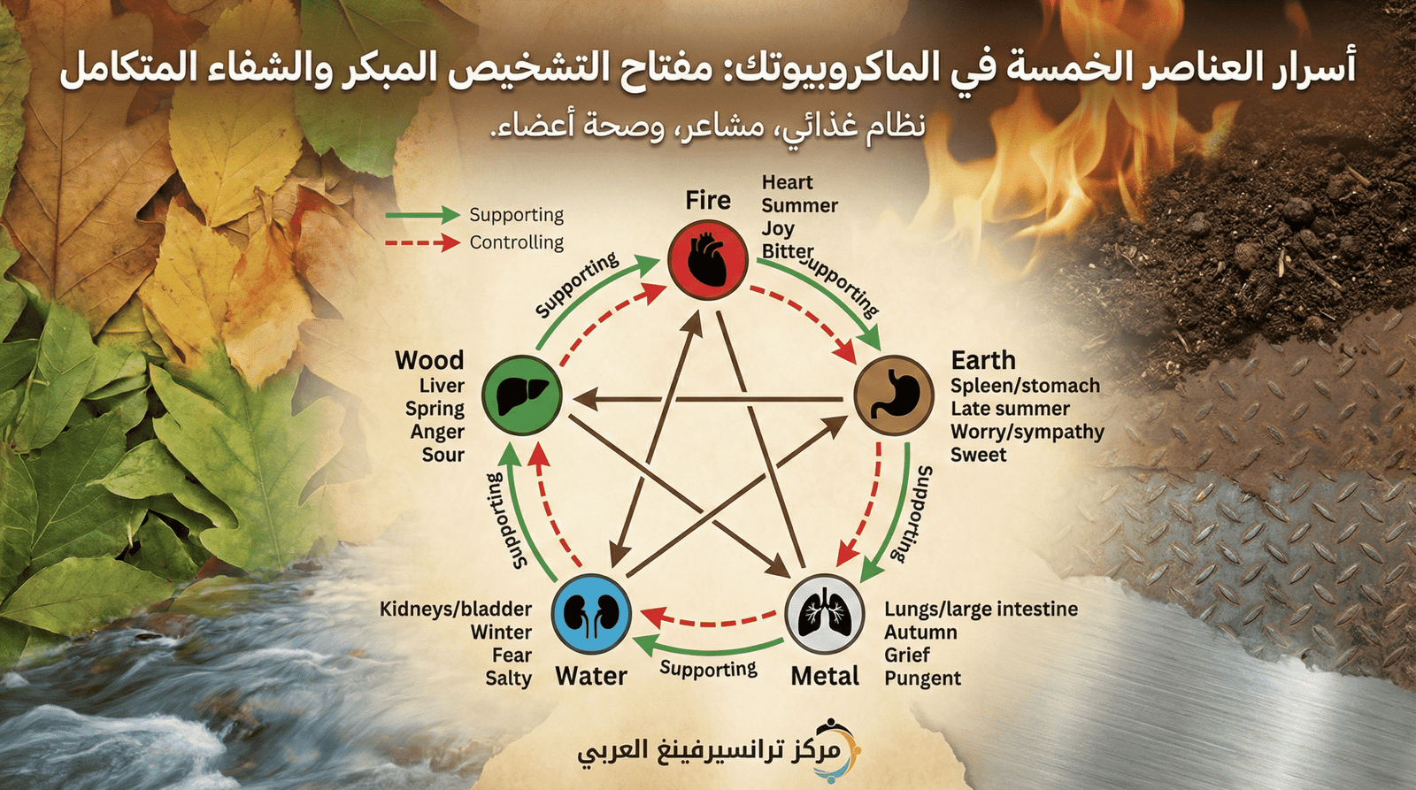 مخطط العناصر الخمسة في الماكروبيوتك يوضح طاقة الخشب والنار والتراب والمعدن والماء والاعضاء والمشاعر المرتبطة بها.